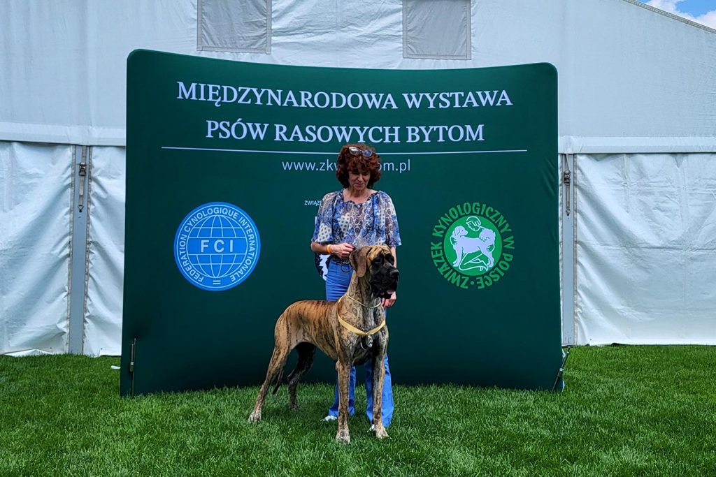 Trawka z Kuźni Napoleońskiej