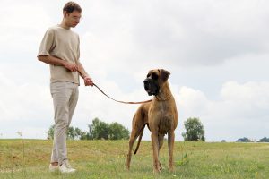 Sznytka z Kuźni Napoleońskiej