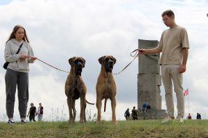 Trawka i Sznytka z Kuźni Napoleońskiej