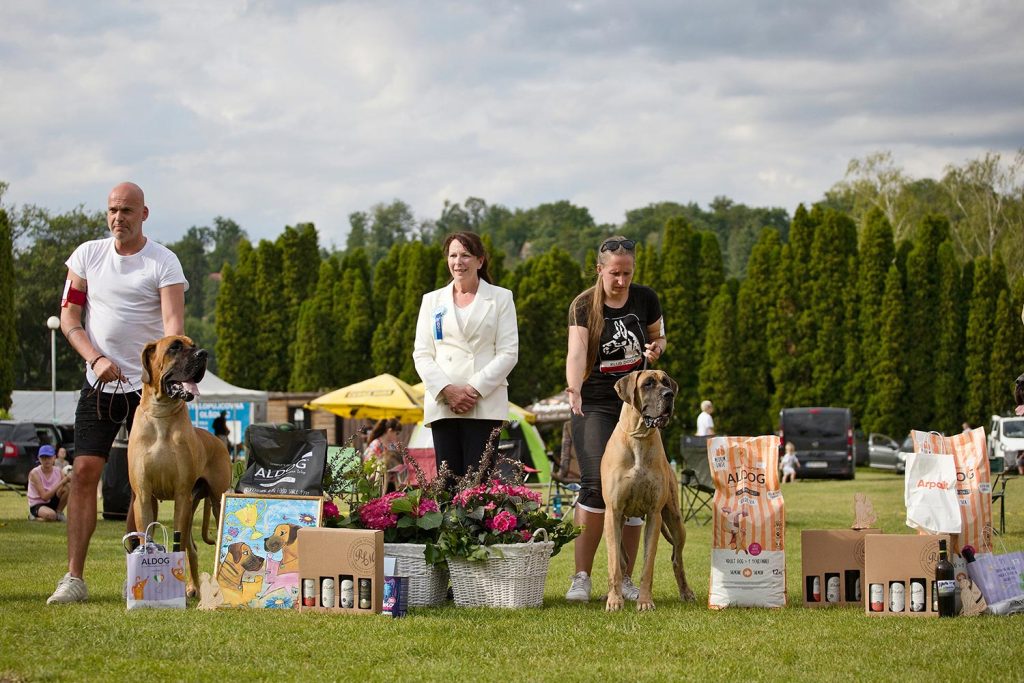 Sznytka z Kuźni Napoleońskiej