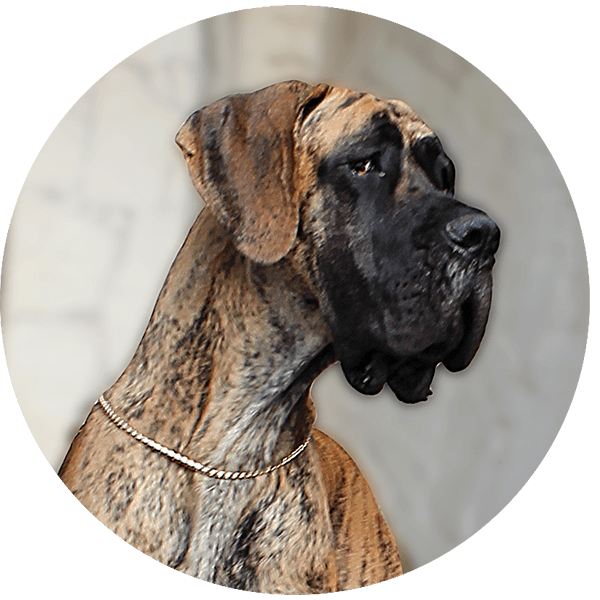 Trawka z Kuźni Napoleońskiej