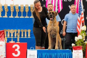 Sznytka z Kuźni Napoleońskiej