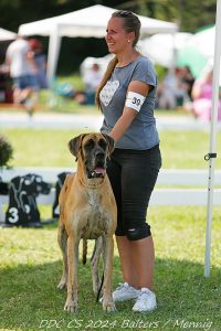 SZNYTKA Z KUŹNI NAPOLEOŃSKIEJ