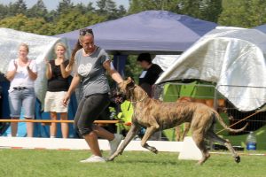 TRAWKA Z KUŹNI NAPOLEOŃSKIEJ