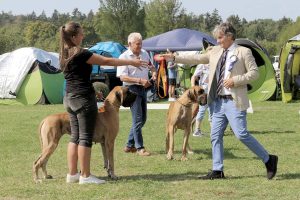 SZNYTKA Z KUŹNI NAPOLEOŃSKIEJ