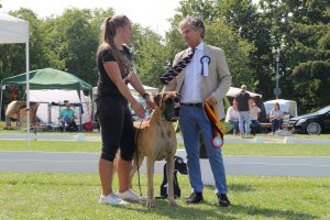 SZNYTKA Z KUŹNI NAPOLEOŃSKIEJ