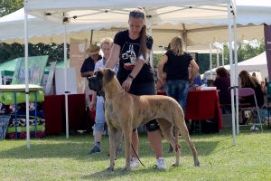 SZNYTKA Z KUŹNI NAPOLEOŃSKIEJ
