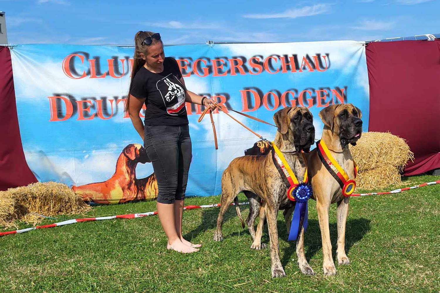 SZNYTKA I TRAWKA Z KUŹNI NAPOLEOŃSKIEJ
