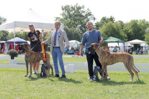 TRAWKA Z KUŹNI NAPOLEOŃSKIEJ