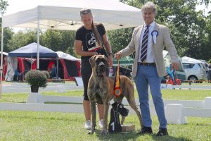 TRAWKA Z KUŹNI NAPOLEOŃSKIEJ