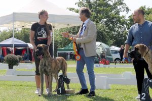 TRAWKA Z KUŹNI NAPOLEOŃSKIEJ