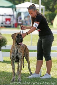 TRAWKA Z KUŹNI NAPOLEOŃSKIEJ