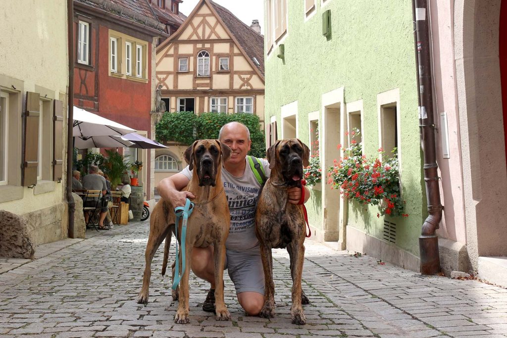 Trawka i Sznytka z Kuźni Napoleońskiej - Rothenburg