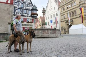 Trawka i Sznytka z Kuźni Napoleońskiej - Rothenburg