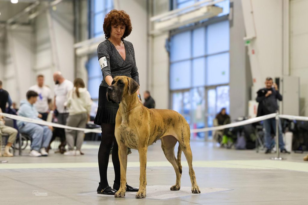 Trawka i Sznytka z Kuźni Napoleońskiej - Lublin 2024