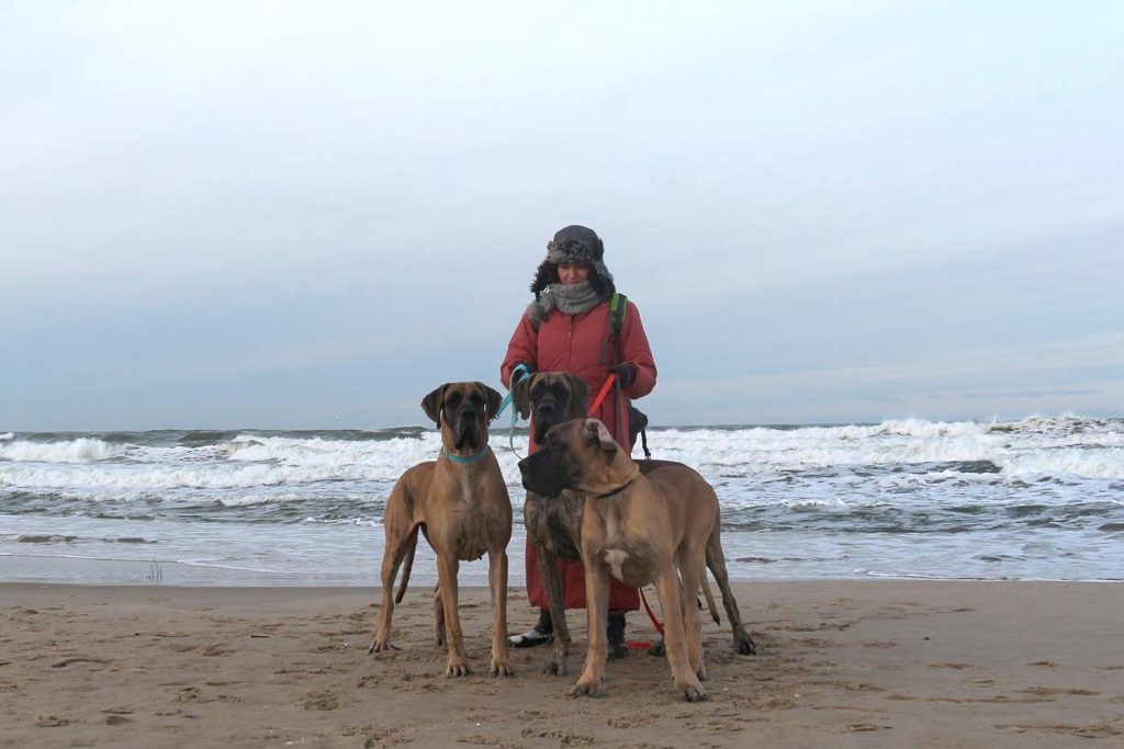 Trawka i Sznytka, Ukulele z Kuźni Napoleońskiej - Gdynia 2025