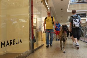 Trawka z Kuźni Napoleońskiej