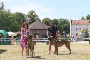 Trawka z Kuźni Napoleońskiej