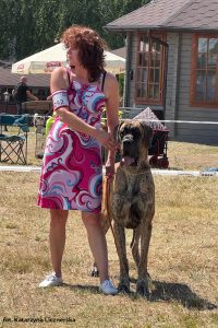 Trawka z Kuźni Napoleońskiej