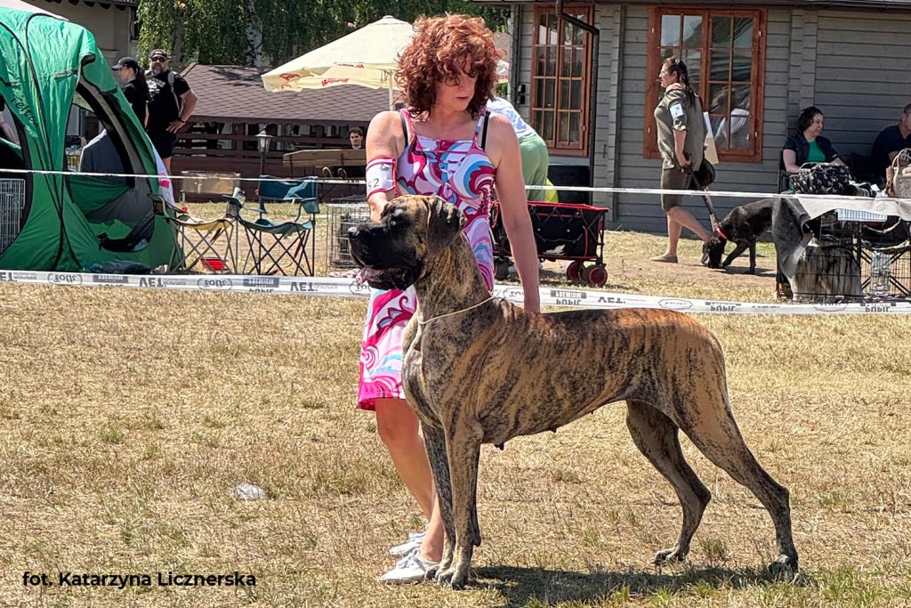 Trawka z Kuźni Napoleońskiej