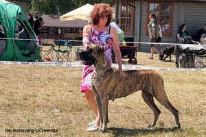 Trawka z Kuźni Napoleońskiej