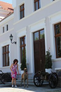 Trawka z Kuźni Napoleońskiej