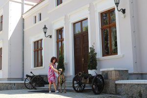 Trawka z Kuźni Napoleońskiej