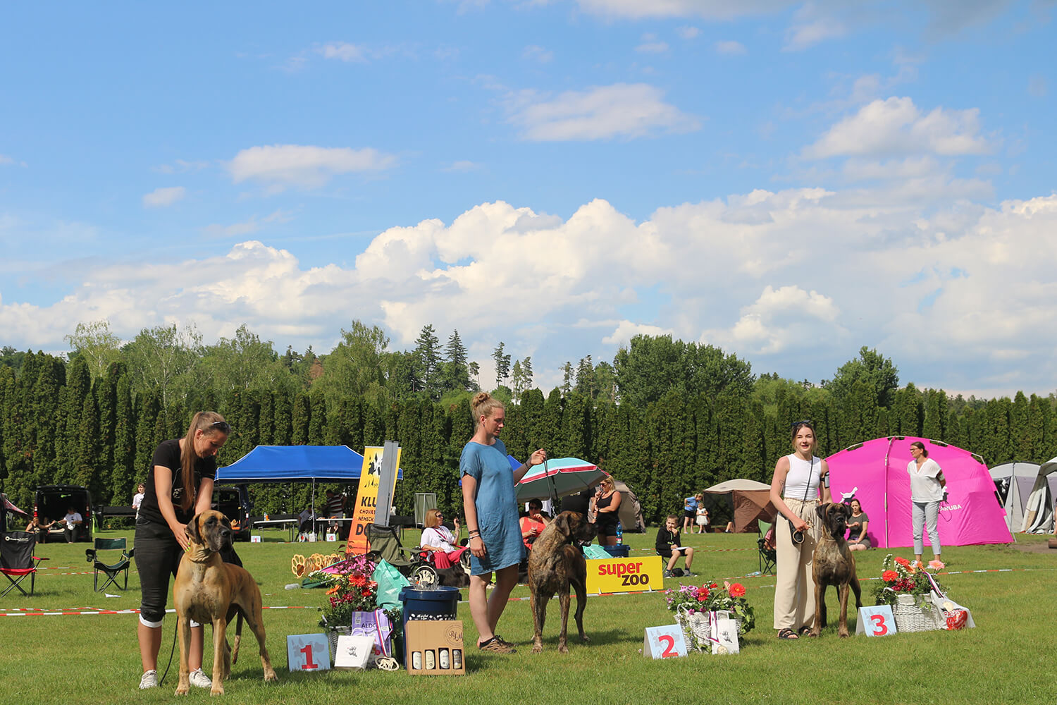 Sznytka z Kuźni Napoleońskiej