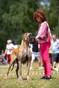 Trawka z Kuźni Napoleońskiej