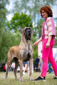 Trawka z Kuźni Napoleońskiej