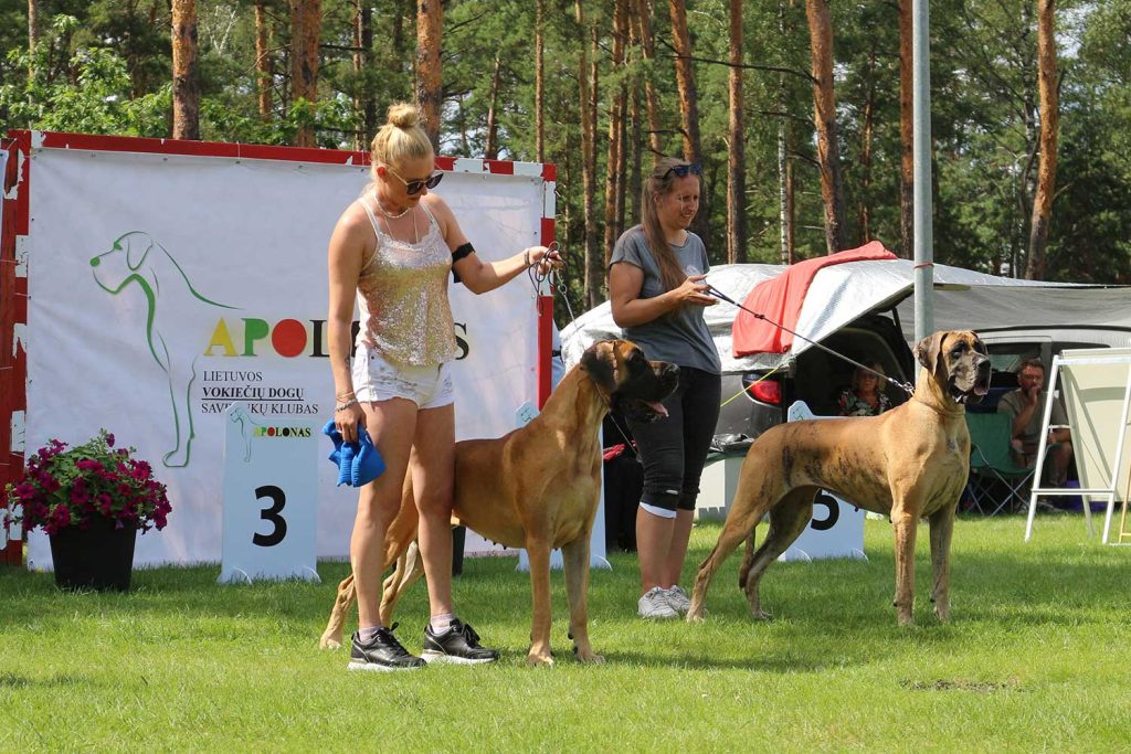 Sznytka z Kuźni Napoleońskiej