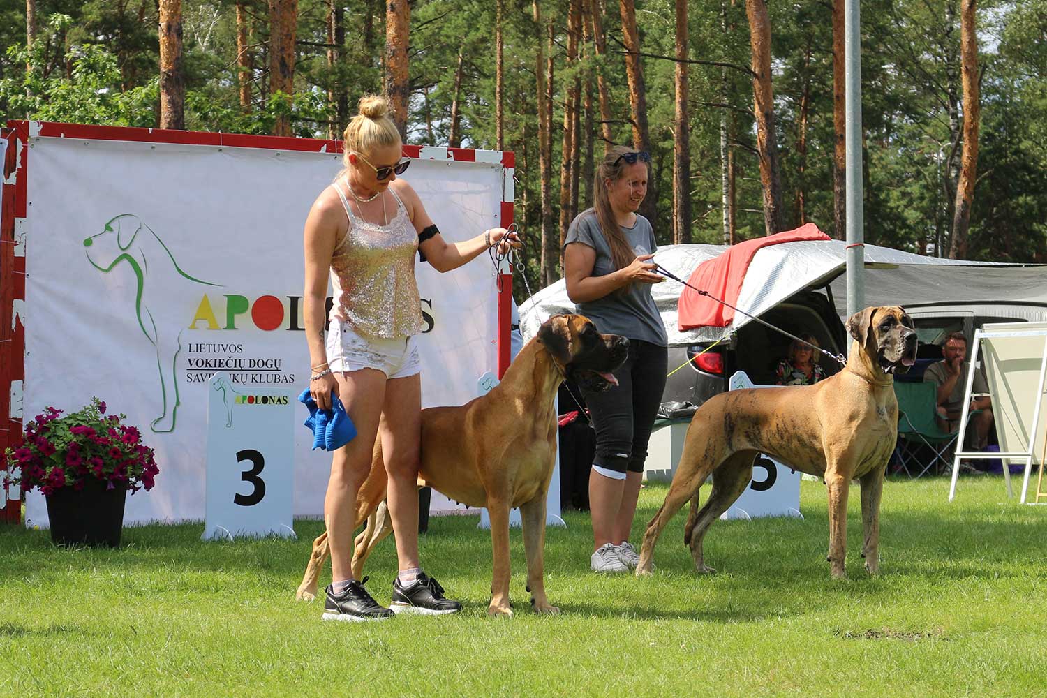 Sznytka z Kuźni Napoleońskiej