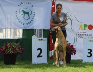 Sznytka z Kuźni Napoleońskiej