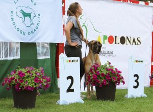 Sznytka z Kuźni Napoleońskiej
