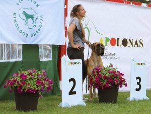 Sznytka z Kuźni Napoleońskiej