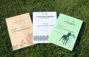 Sznytka z Kuźni Napoleońskiej