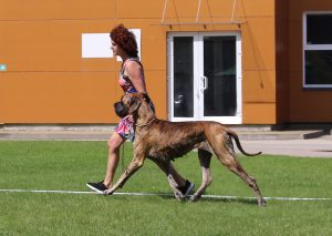 Trawka z Kuźni Napoleońskiej