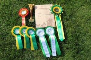 Trawka z Kuźni Napoleońskiej