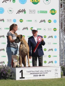 Sznytka z Kuźni Napoleońskiej