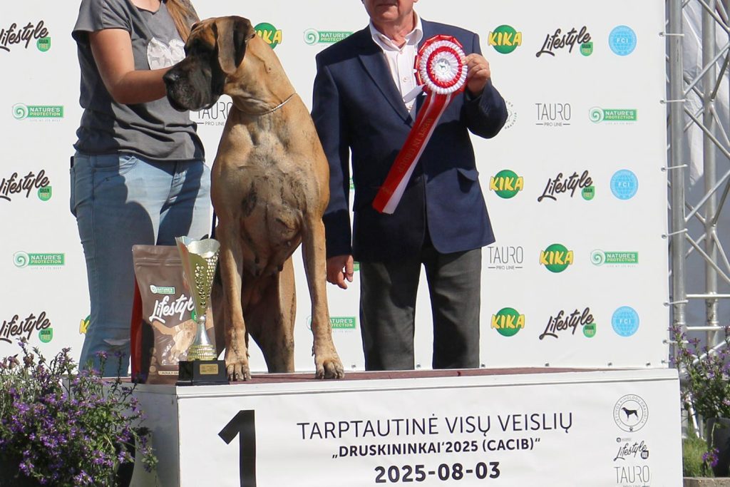 Sznytka z Kuźni Napoleońskiej