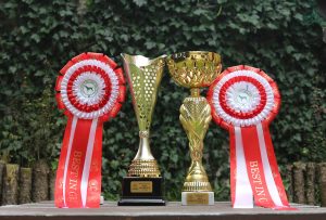 Sznytka z Kuźni Napoleońskiej