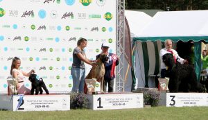 Sznytka z Kuźni Napoleońskiej