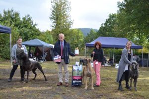 Sznytka z Kuźni Napoleońskiej