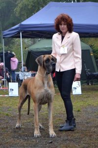 Sznytka z Kuźni Napoleońskiej