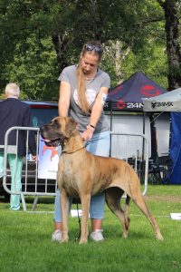 Sznytka z Kuźni Napoleońskiej