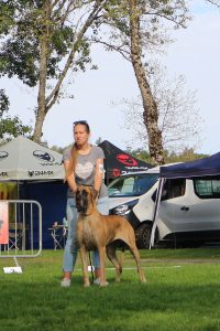 Sznytka z Kuźni Napoleońskiej