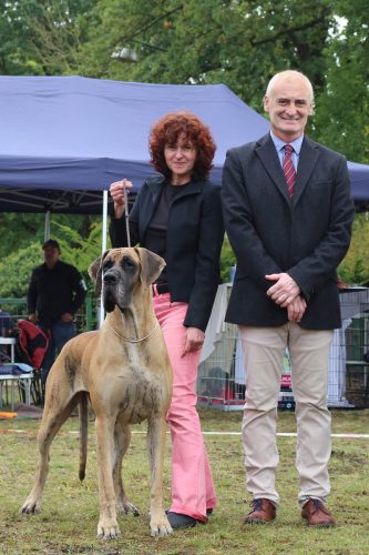 Sznytka z Kuźni Napoleońskiej