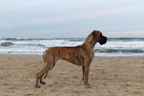 Trawka z Kuźni Napoleońskiej - Gdynia 2025