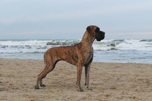 Trawka z Kuźni Napoleońskiej - Gdynia 2025