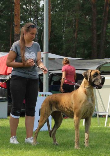 Sznytka z Kuźni Napoleońskiej